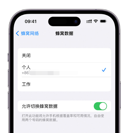 保靖苹果维修服务分享如何在iPhone上使用双卡 